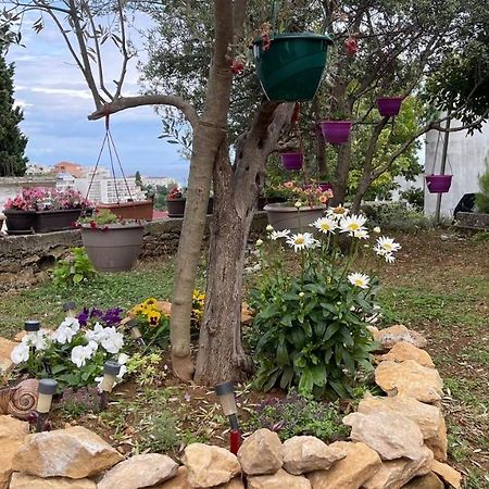 Apartments Radulovic Ulcinj Esterno foto