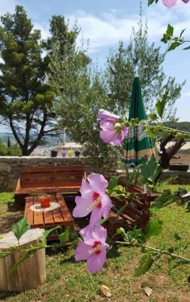 Apartments Radulovic Ulcinj Esterno foto